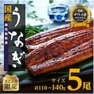 【さとふる限定】鹿児島県産うなぎ長蒲焼5尾(110g～140g/尾)