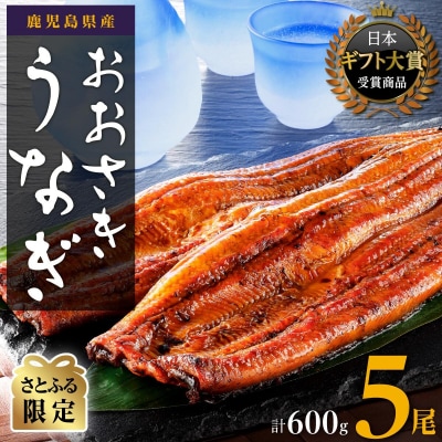【さとふる限定】鹿児島県産うなぎ長蒲焼5尾(計600g)