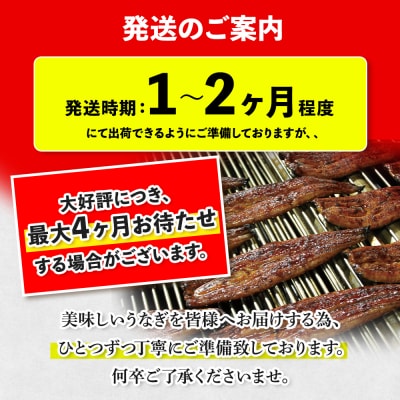 【さとふる限定】鹿児島県産うなぎ長蒲焼5尾(110g～140g/尾)