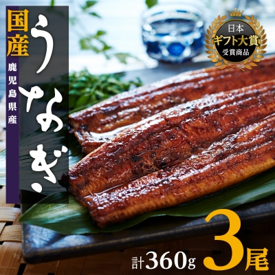 おおさきうなぎ(鹿児島県産うなぎ長蒲焼)3尾セット