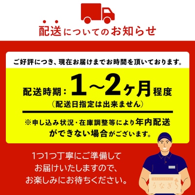 おおさきうなぎ(鹿児島県産うなぎ長蒲焼)3尾セット