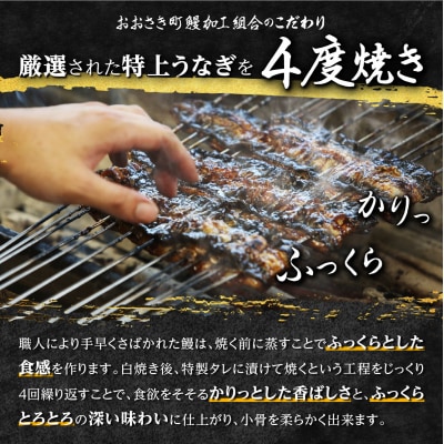 【さとふる限定】鹿児島県産うなぎ長蒲焼3尾　(合計330g以上)  