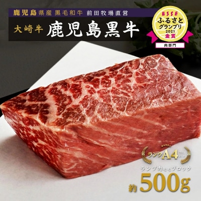 《前田牧場直営》鹿児島黒牛～ランプ肉(モモ)ブロック(約500g)