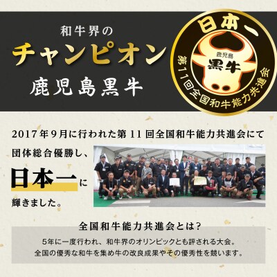 《前田牧場直営》鹿児島黒牛～ランプ肉(モモ)ブロック(約500g)