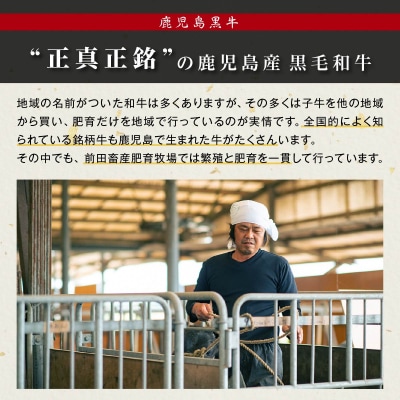 《前田牧場直営》鹿児島黒牛～ランプ肉(モモ)ブロック(約500g)