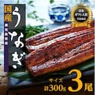 【数量限定】鹿児島県産うなぎ長蒲焼3尾(約100g×3尾)