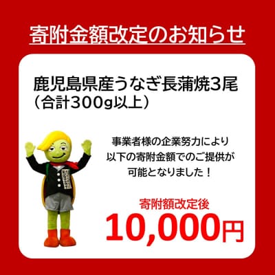 【数量限定】鹿児島県産うなぎ長蒲焼3尾　 (合計300g以上) 