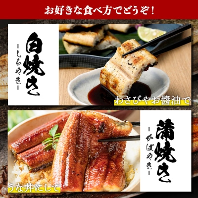 鹿児島県大隅産  千歳鰻の白焼2尾・蒲焼き2尾　合計4尾セット