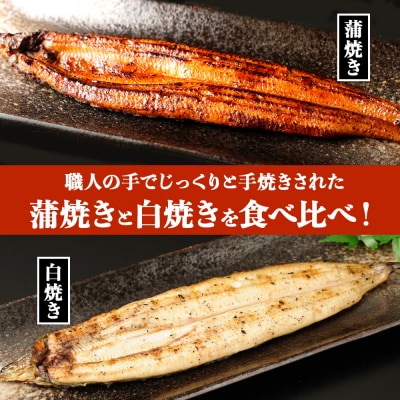 鹿児島県大隅産  千歳鰻の白焼1尾・蒲焼き1尾　合計2尾セット