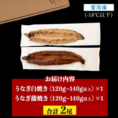 鹿児島県大隅産  千歳鰻の白焼1尾・蒲焼き1尾　合計2尾セット