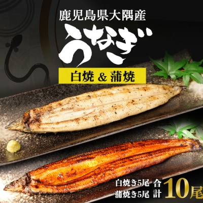 鹿児島県大隅産  千歳鰻の白焼5尾・蒲焼き5尾　合計10尾