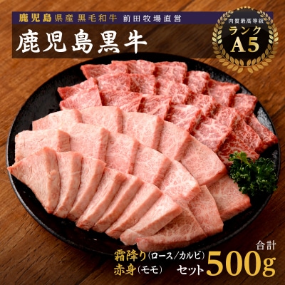 鹿児島県産黒毛和牛 霜降(ロース・カルビ)赤身(モモ)焼き肉用 500g