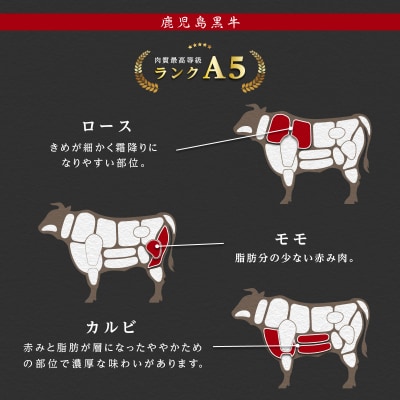 鹿児島県産黒毛和牛　霜降(ロース・カルビ)赤身(モモ)焼き肉用　500g