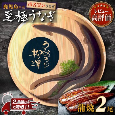 うなぎの柳澤　うなぎ蒲焼2尾(計340g)