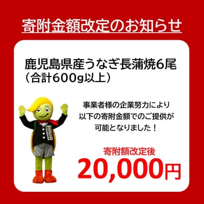 【数量限定】鹿児島県産うなぎ長蒲焼6尾　 (合計600g以上) 