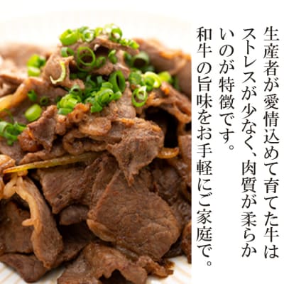 【2週間以内発送】国産和牛切り落とし900g