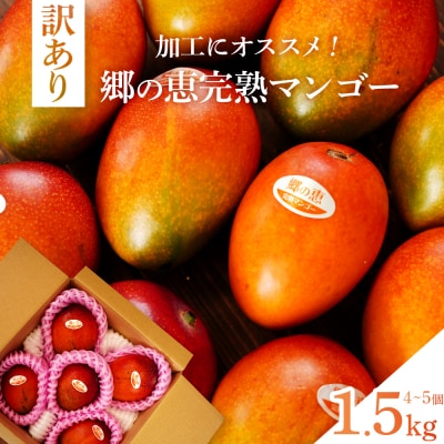 【訳アリ】 1.5kg 大崎完熟マンゴー「郷の恵(さとのめぐみ)」加工用マンゴー(糖度10度前後)
