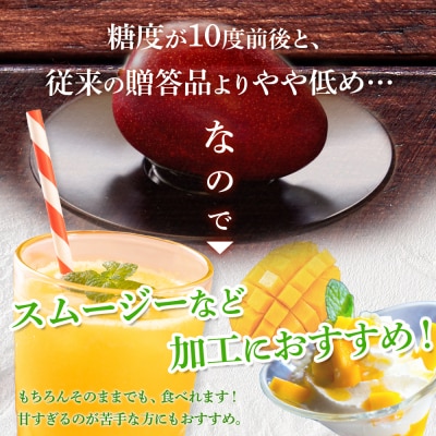 【訳アリ】 1.5kg 大崎完熟マンゴー「郷の恵(さとのめぐみ)」加工用マンゴー(糖度10度前後)