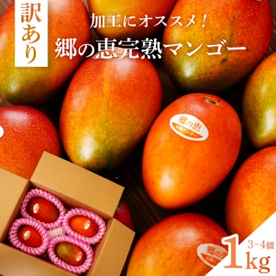 【訳アリ】1kg 大崎完熟マンゴー「郷の恵(さとのめぐみ)」加工用マンゴー(糖度10度前後) 