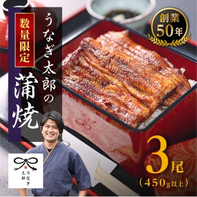 【蒲焼3尾(合計420g以上)】!創業50年・職人による手焼き　大隅産うなぎ
