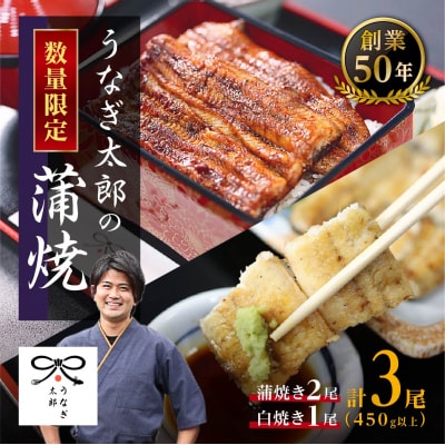 【蒲焼き2尾　白焼き1尾　計3尾セット】創業50年・職人による手焼き　大隅産うなぎ