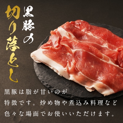 鹿児島県産黒豚切り落とし500g×4P