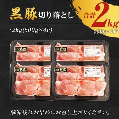 鹿児島県産黒豚切り落とし500g×4P
