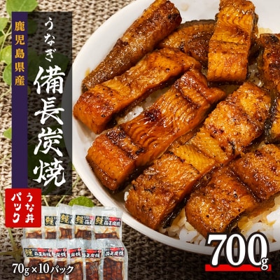【鹿児島県大隅産】備長炭手焼き　うな丼パック　10袋入(700g)