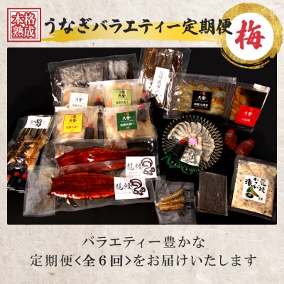 うなぎの概念が変わる!!【本格熟成】龍鰻バラエティー定期便《梅》