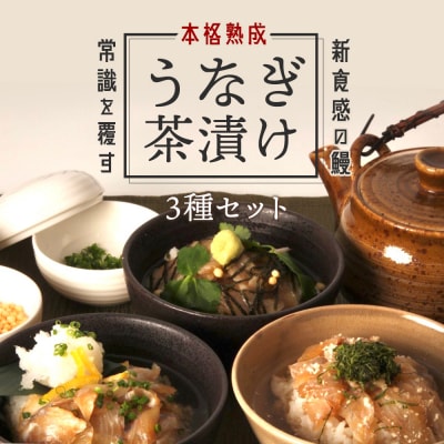 【3食セット】本格こだわり熟成/うなぎ龍鰻茶漬けセット