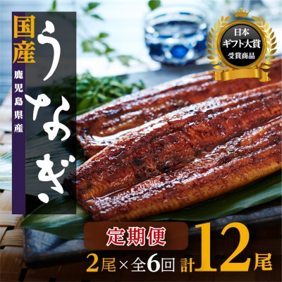 【定期便】おおさきうなぎ鹿児島県産うなぎ長蒲焼2尾(全6回)合計12尾