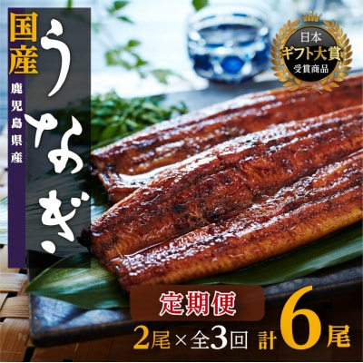 【定期便】おおさきうなぎ鹿児島県産うなぎ長蒲焼2尾(全3回)合計6尾