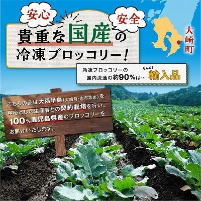 鹿児島県産　冷凍ブロッコリー　200g×8パック
