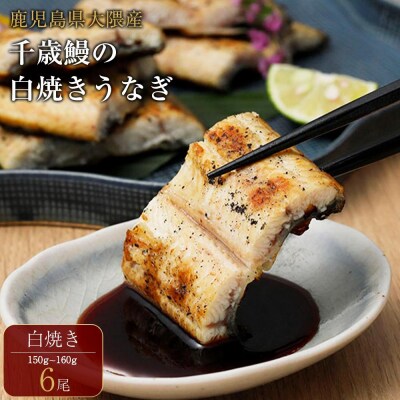 鹿児島県大隅産　千歳鰻の白焼鰻　6尾