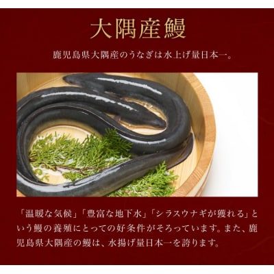 鹿児島県大隅産　千歳鰻の白焼鰻　6尾