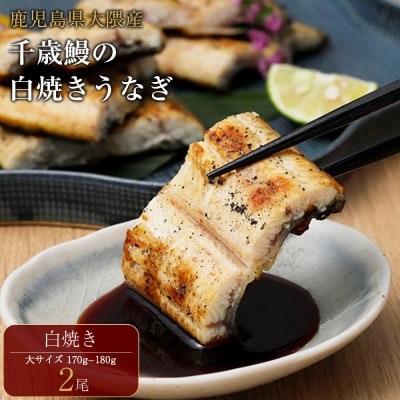 鹿児島県大隅産　千歳鰻の白焼鰻「大」2尾