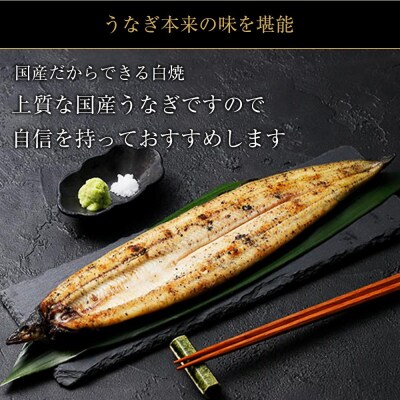 鹿児島県大隅産　千歳鰻の白焼鰻「大」2尾