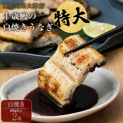 鹿児島県大隅産 千歳鰻の★特大★白焼鰻　2尾【数量限定】