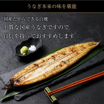 鹿児島県大隅産 千歳鰻の★特大★白焼鰻　2尾【数量限定】