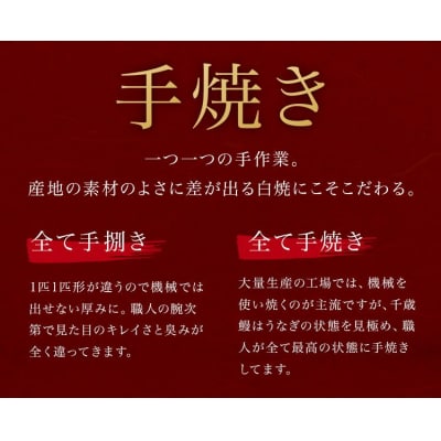 鹿児島県大隅産 千歳鰻の★特大★白焼鰻　2尾【数量限定】