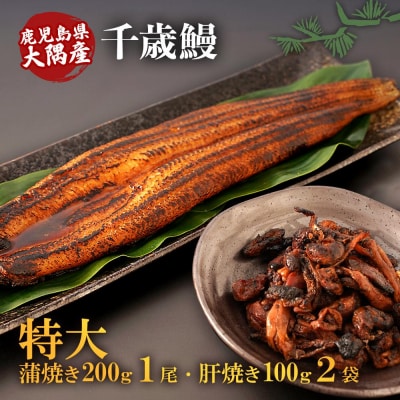 鹿児島県大隅産　特大うなぎ蒲焼200g 1尾・鰻の肝焼き100g×2袋 セット