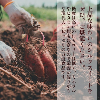 【定期便全5回】しっとり食感!シルクスイートの焼き芋2kg