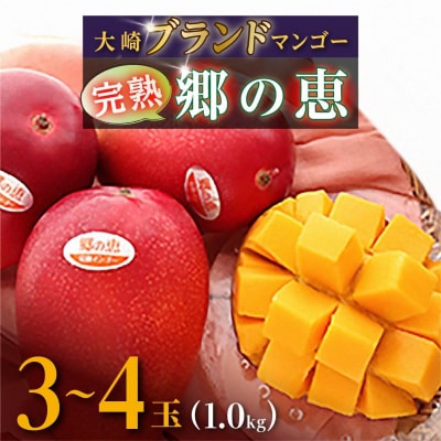 ご家庭用3-4玉 1.0kg 大崎 完熟マンゴー 郷の恵(さとのめぐみ)