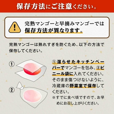 ご家庭用3-4玉 1.0kg 大崎 完熟マンゴー 郷の恵(さとのめぐみ)