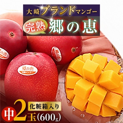 大崎完熟マンゴー「郷の恵(さとのめぐみ)」中2玉