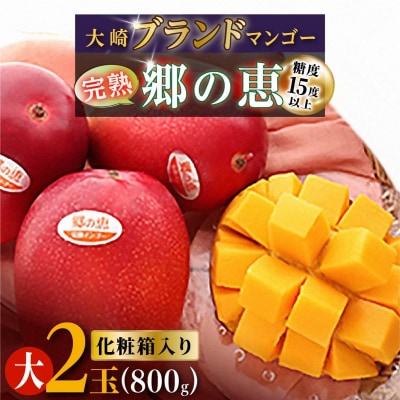 大崎完熟マンゴー「郷の恵(さとのめぐみ)」(大)