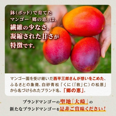 大崎完熟マンゴー「郷の恵(さとのめぐみ)」中3玉