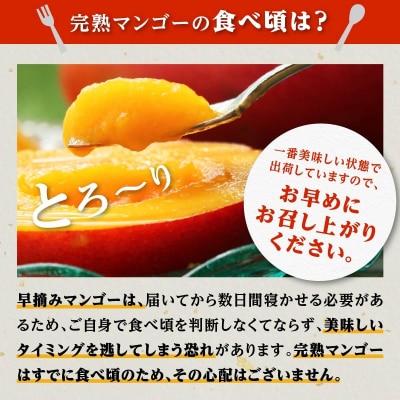 大崎完熟マンゴー「郷の恵(さとのめぐみ)」中3玉