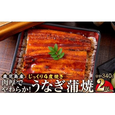 うなぎ 蒲焼 170g×2尾【鹿児島産】地下水で育てた逸品鰻