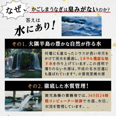 うなぎ 蒲焼 170g×2尾【鹿児島産】地下水で育てた逸品鰻